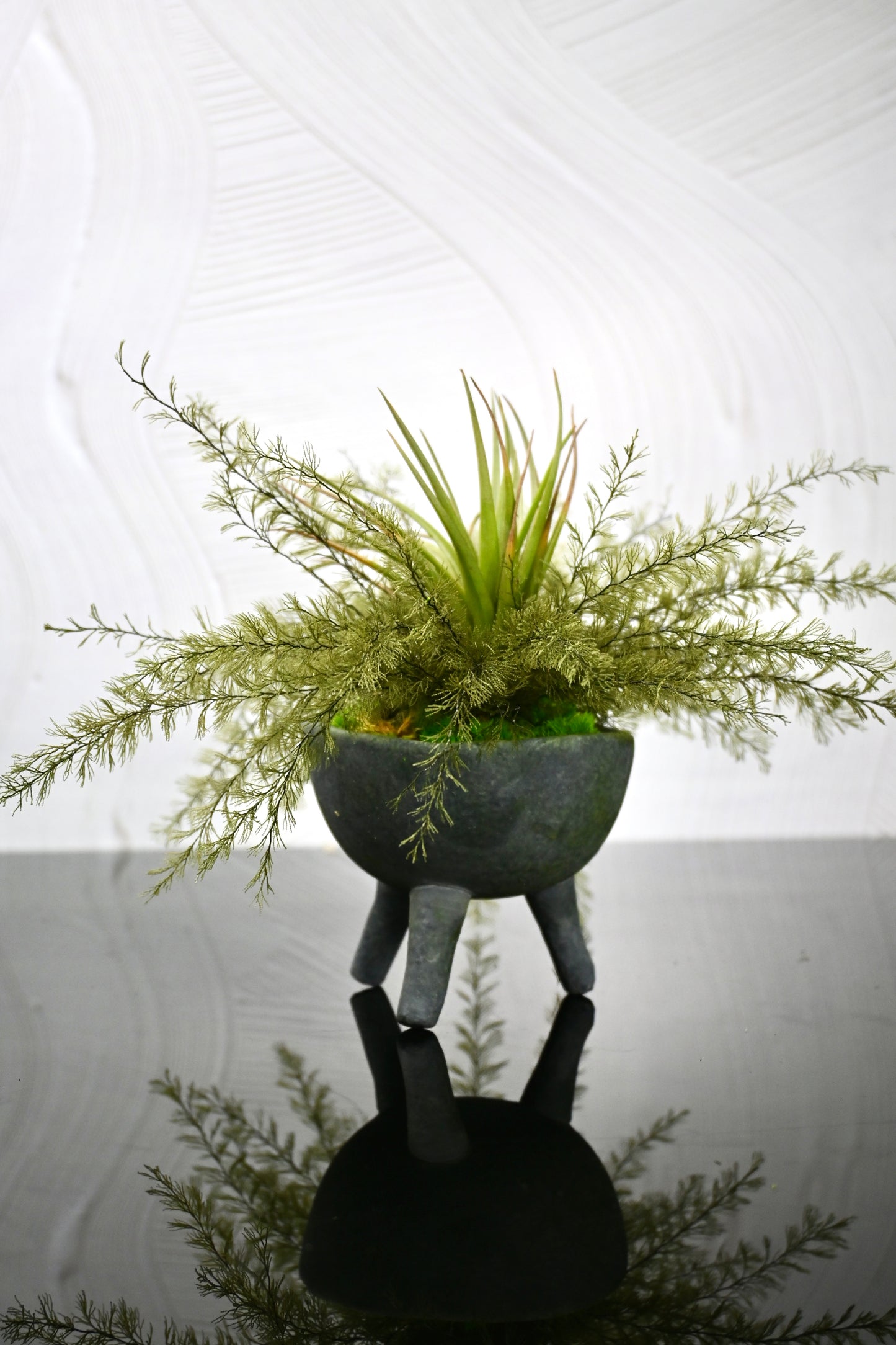 Air Fern Air Plant in a Slate Gray Tripod Vase