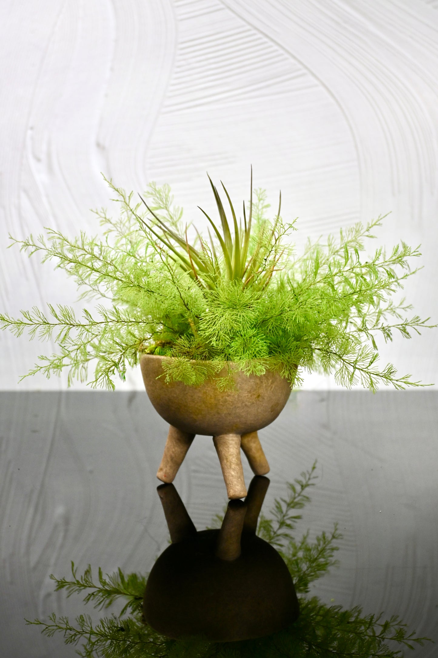 Air Fern & Air Plant in a Taupe Tripod Vase