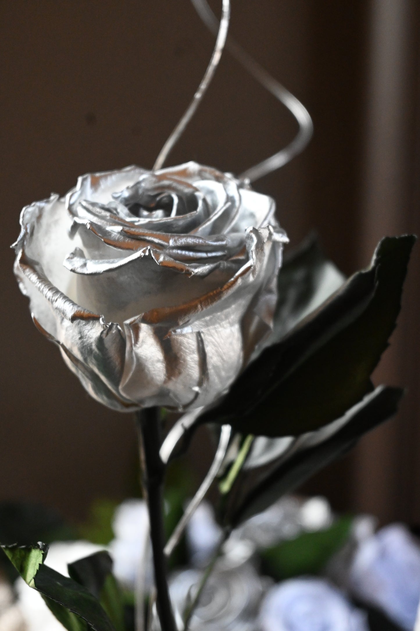 The Silver Edit