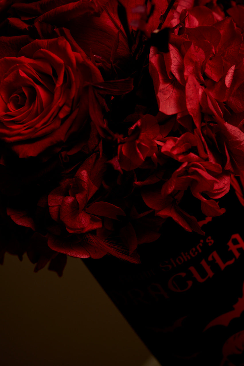 Dracula