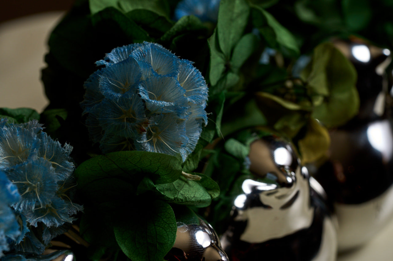 Bird’s Nest — Silver