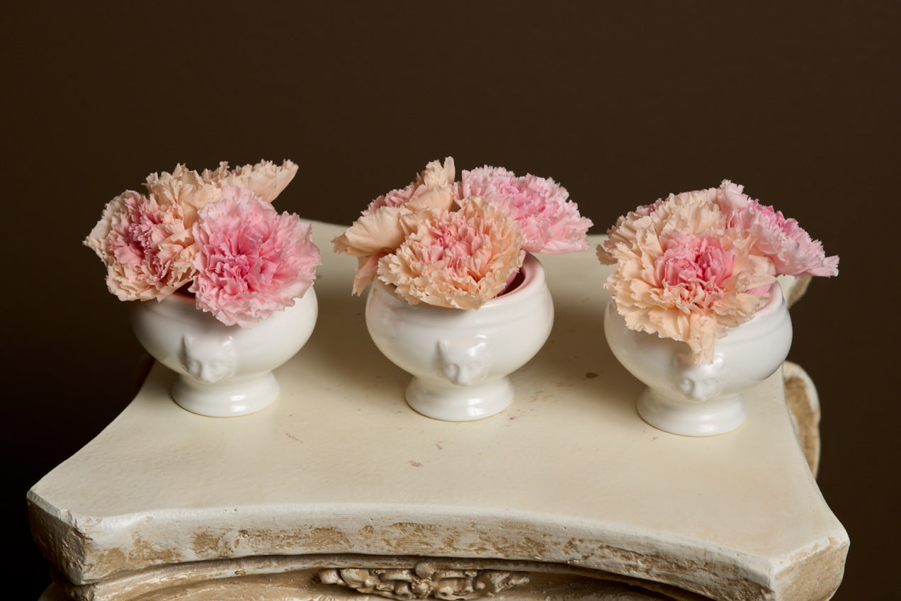 Lion Bloomlets – Carnation Set