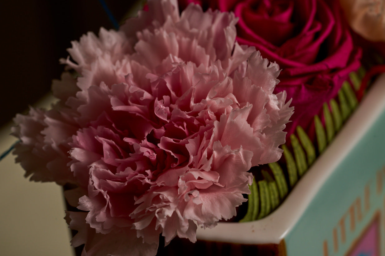 Little Women (Carnation Edition)