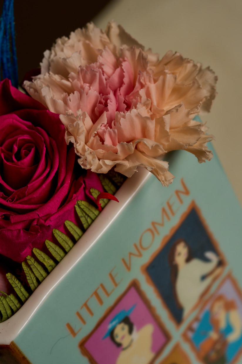 Little Women (Carnation Edition)