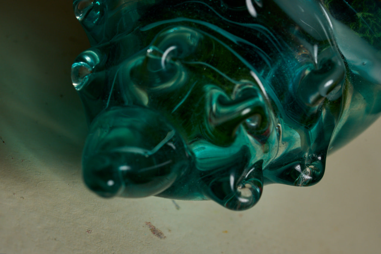Ocean Shell
