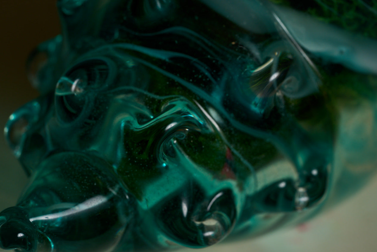 Ocean Shell
