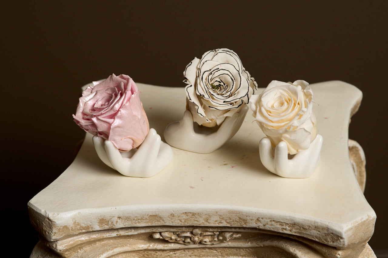 Touch Series – Mini Hand Bloomlets