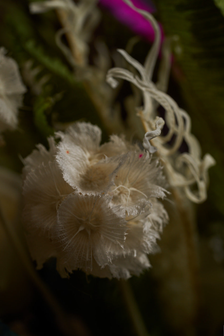 White Shell Vase