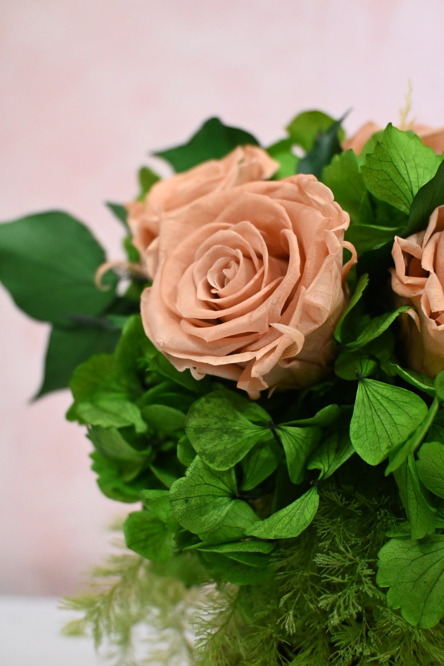 Tortoiseshell Vase Arrangement