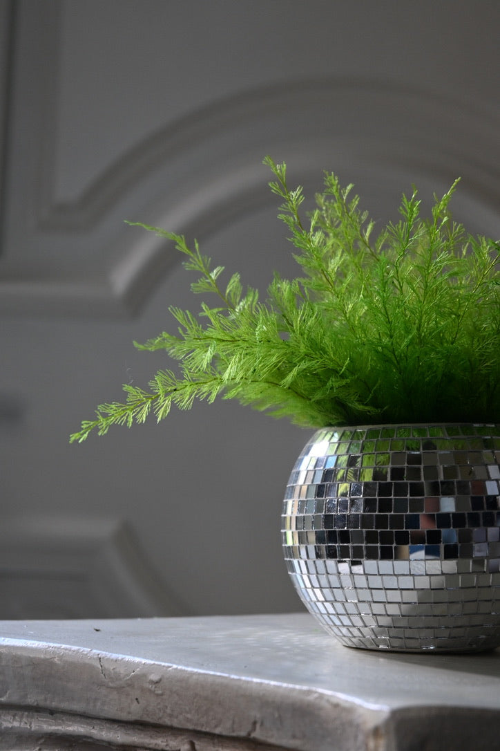 Joy - Light Fern