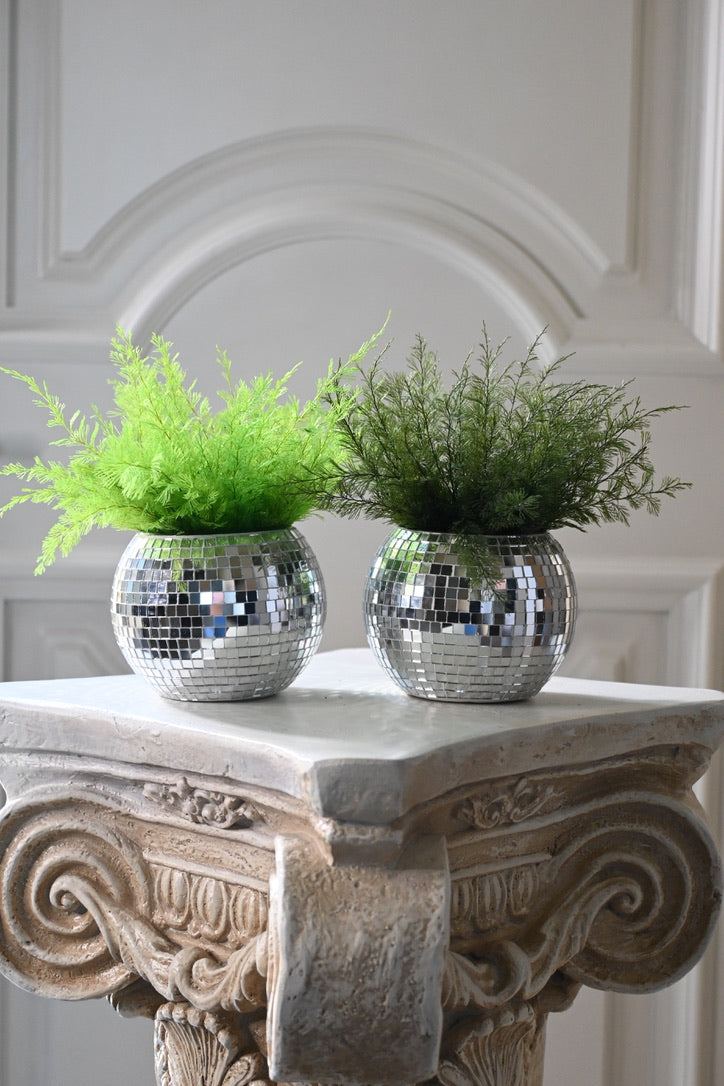 Joy - Light Fern