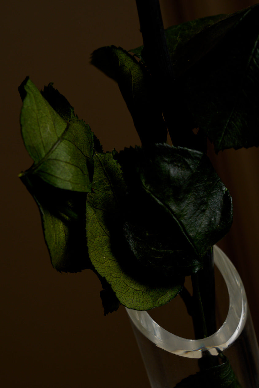 Baccarat Bud Vase