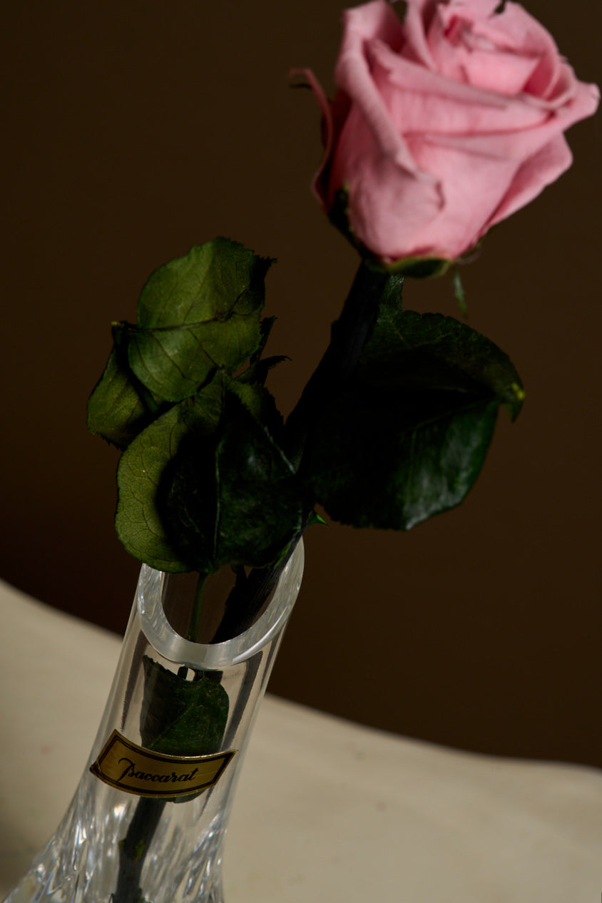 Baccarat Bud Vase