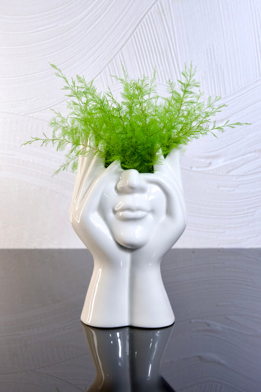 Ponder - Light Green Air Fern