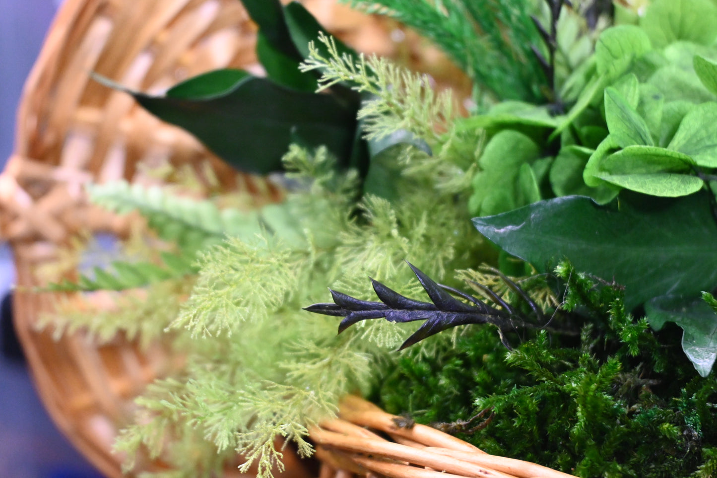Fishing Creel Arrangement
