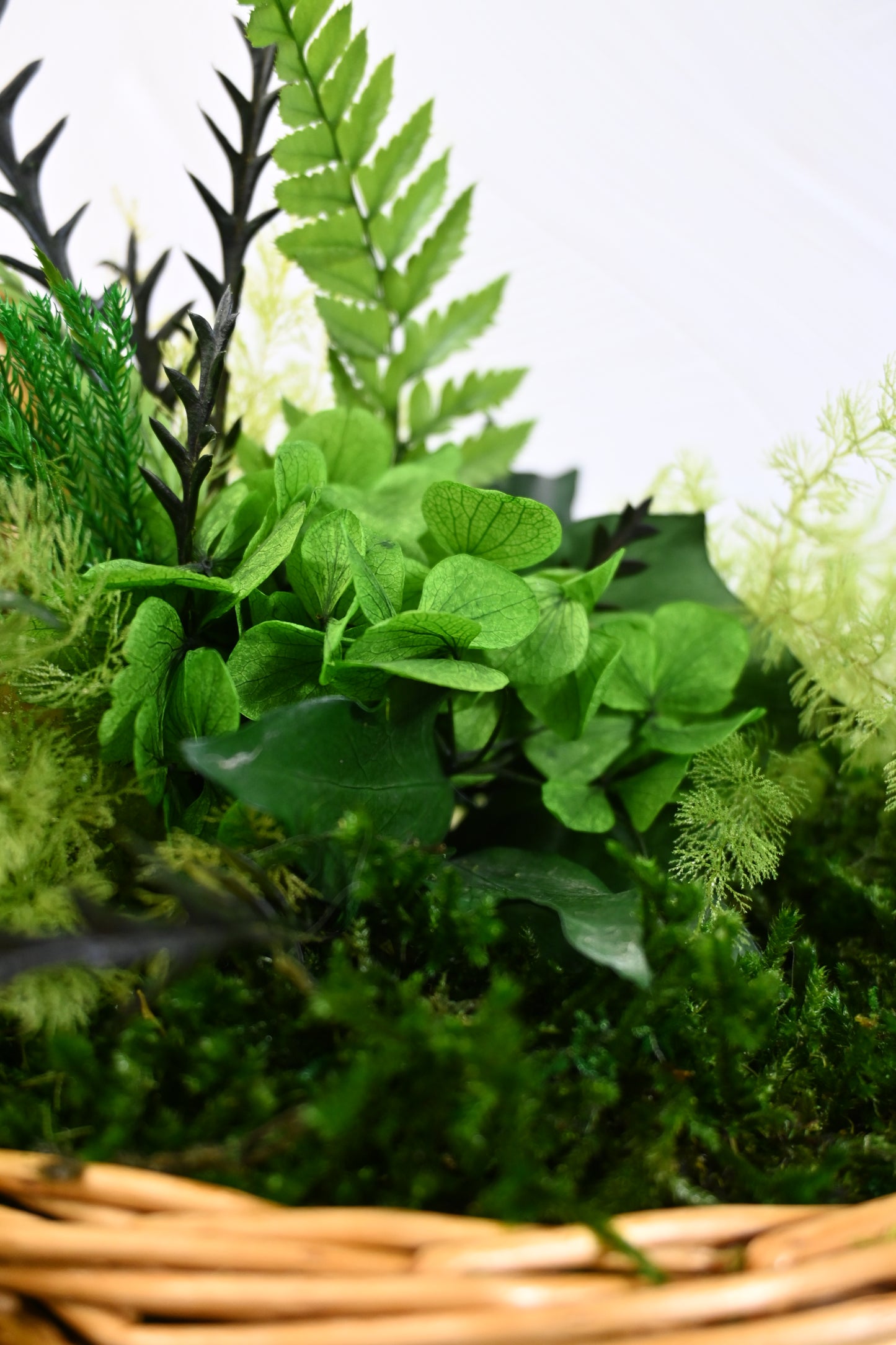 Fishing Creel Arrangement