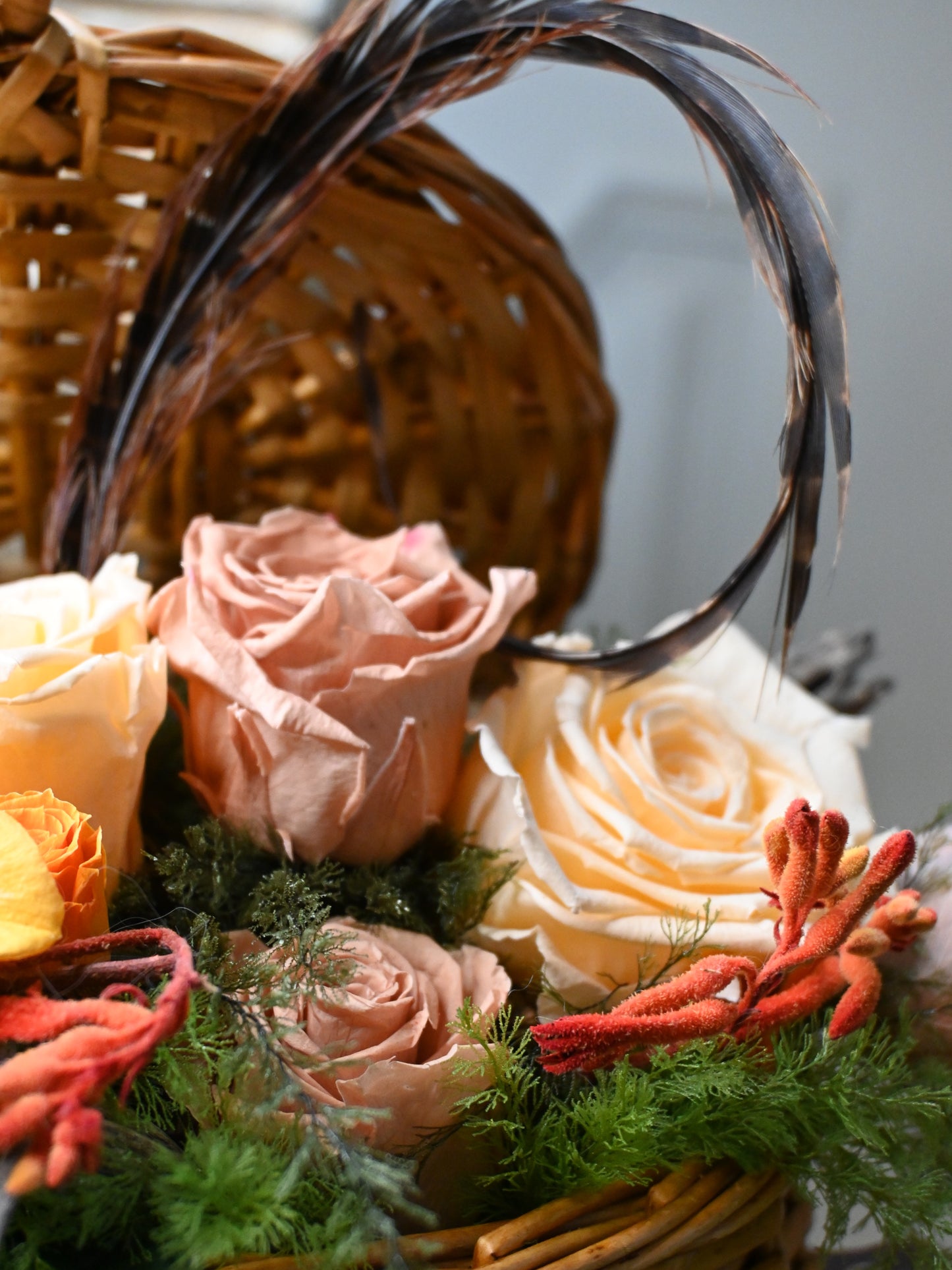 Fishing Creel Arrangement