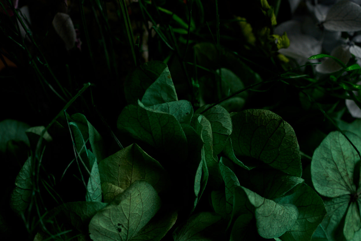 Flowers: The Significance of Life