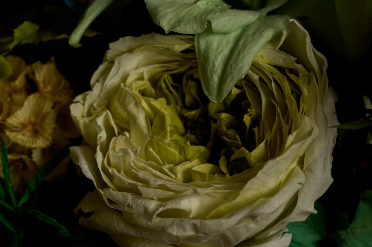 Flowers: The Significance of Life