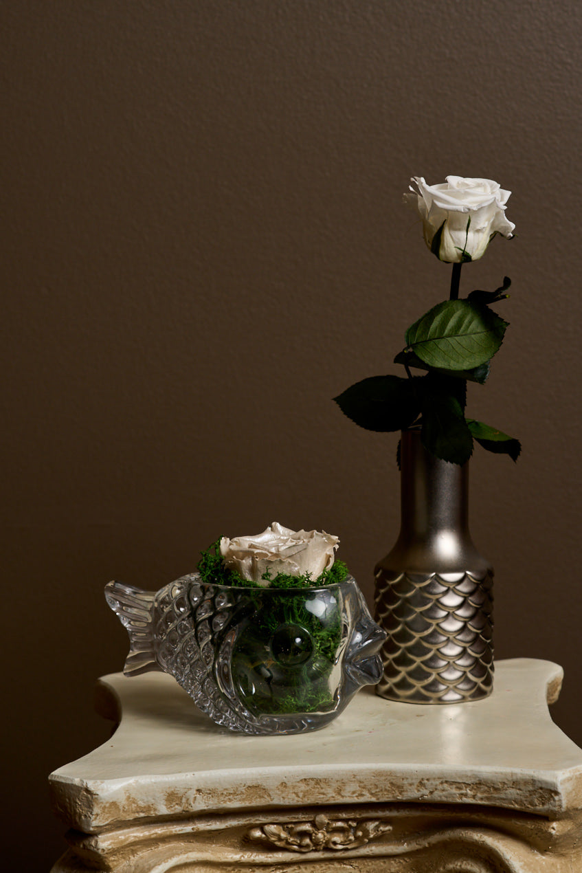 Glass Fish & Bud Vase