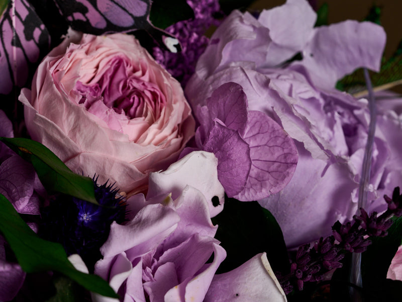 Hydrangeas