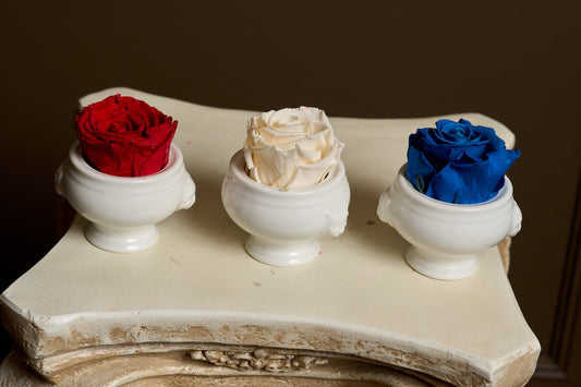 Lion Bloomlets – Rose Set