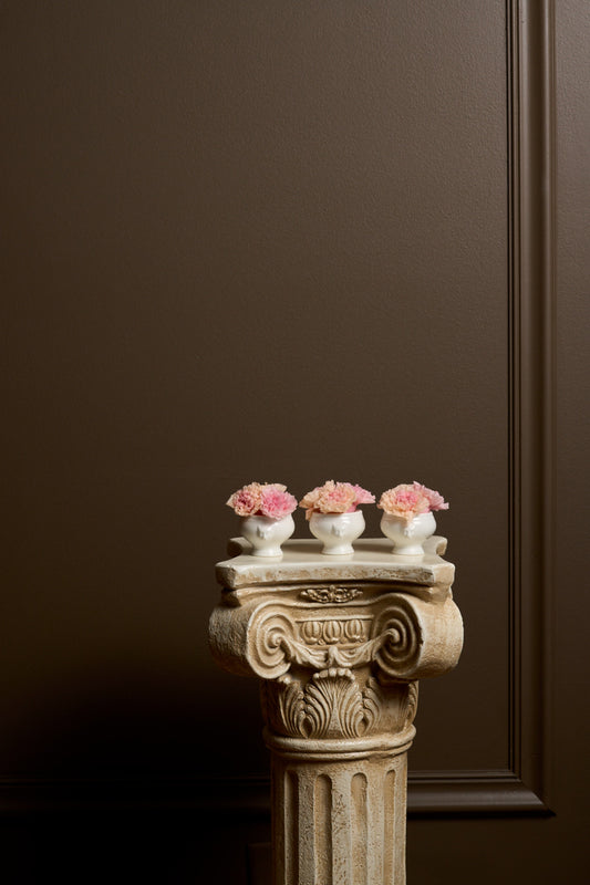 Lion Bloomlets – Carnation Set