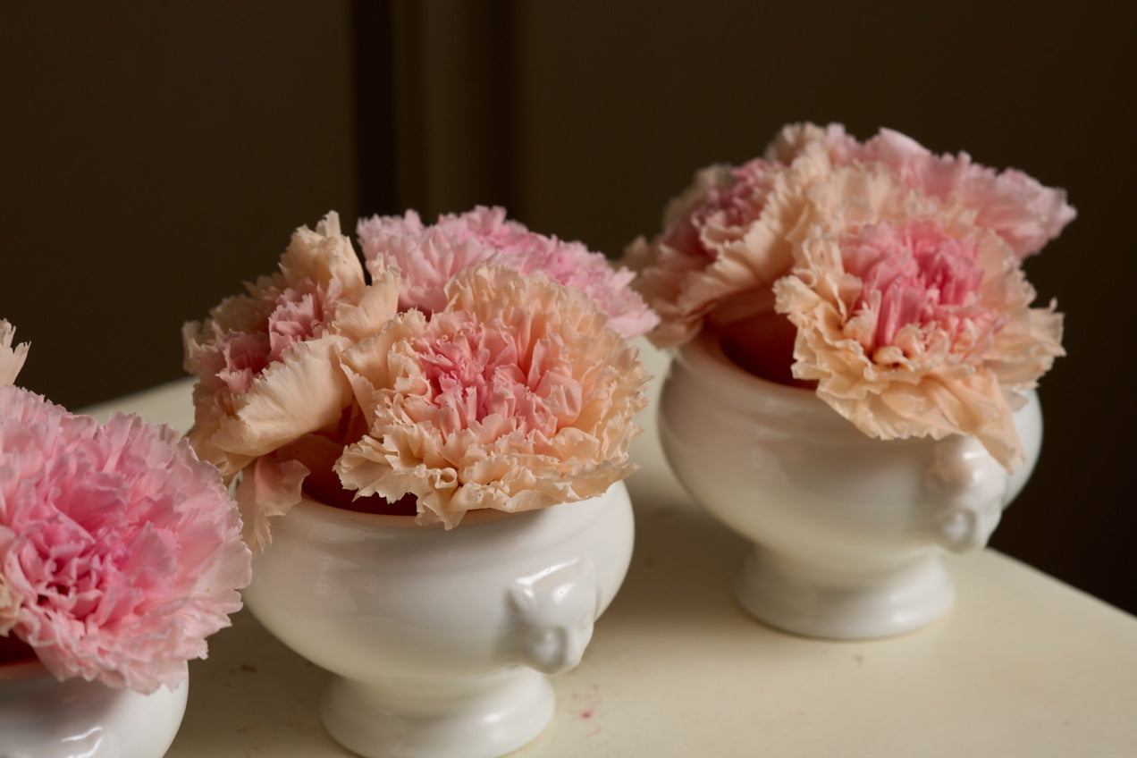 Lion Bloomlets – Carnation Set