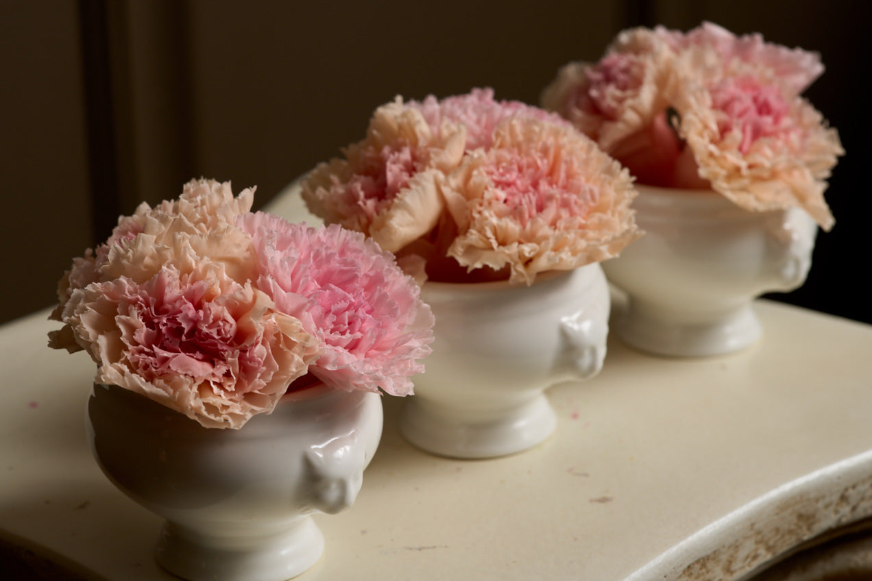 Lion Bloomlets – Carnation Set