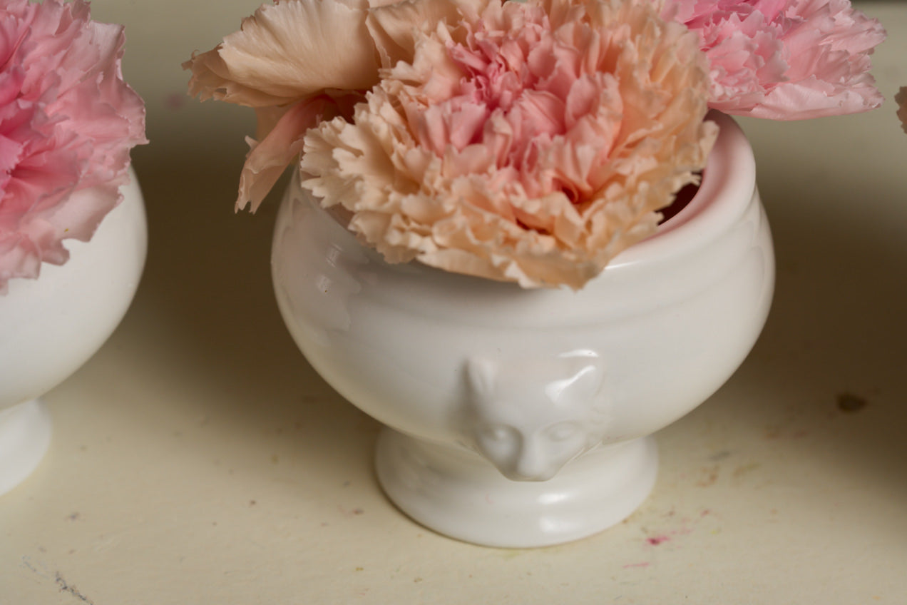 Lion Bloomlets – Carnation Set