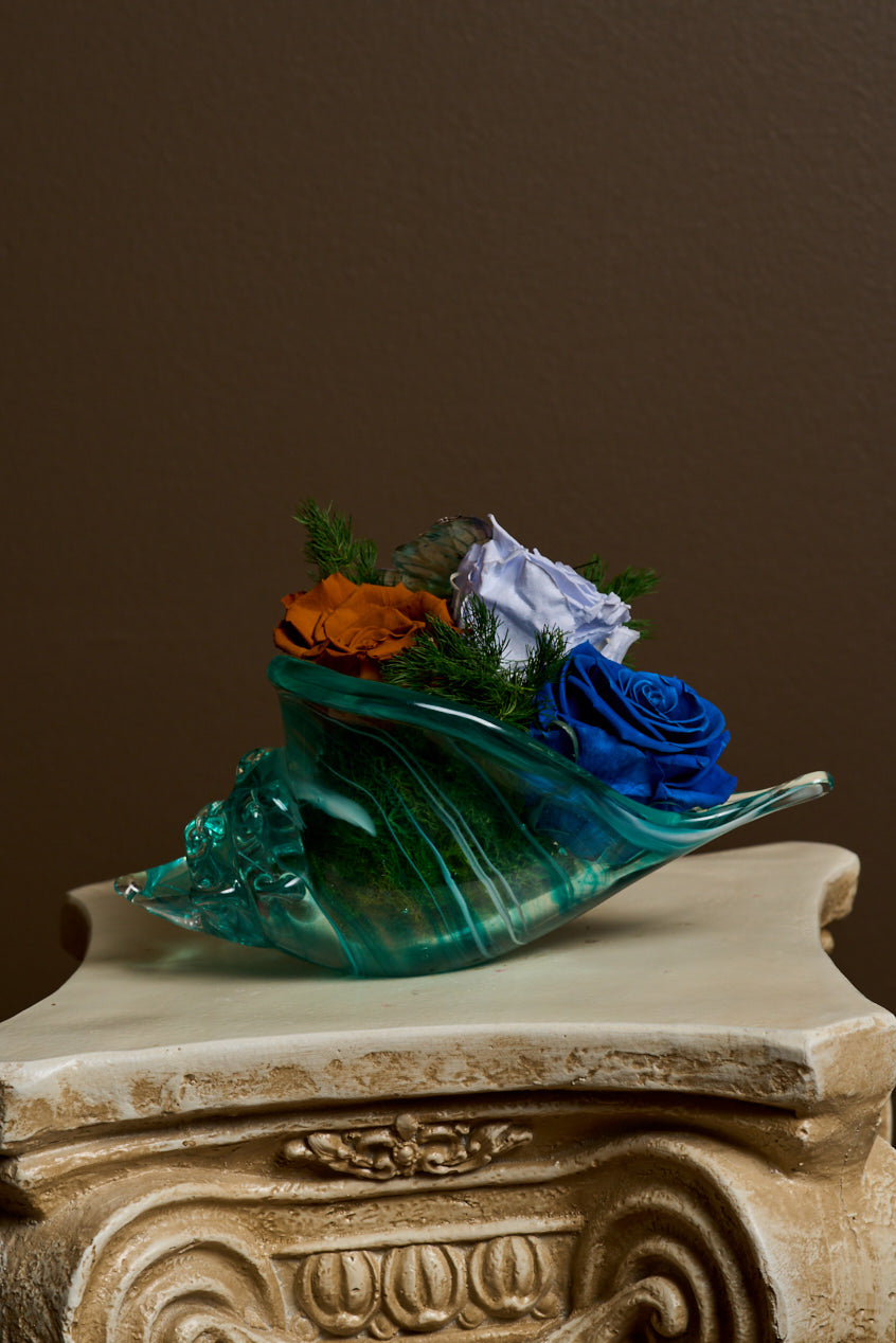 Ocean Shell