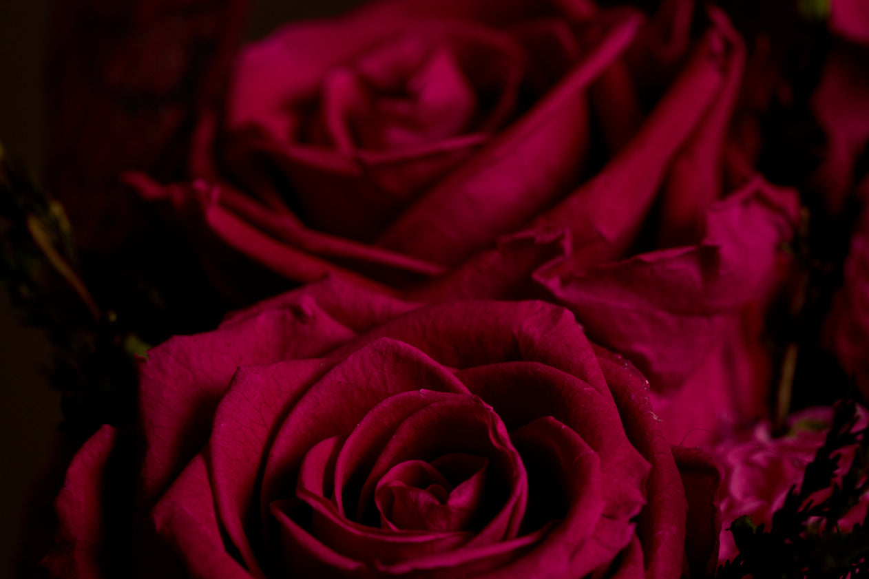 Pride & Prejudice (Fuchsia Edition)