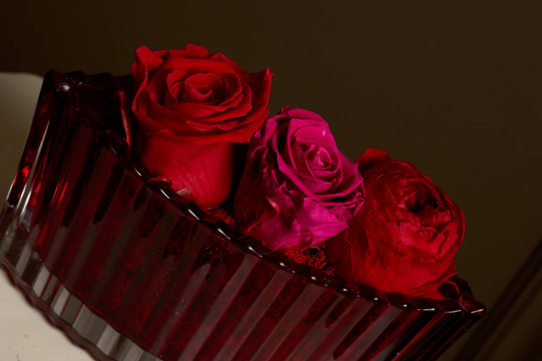 Roses
