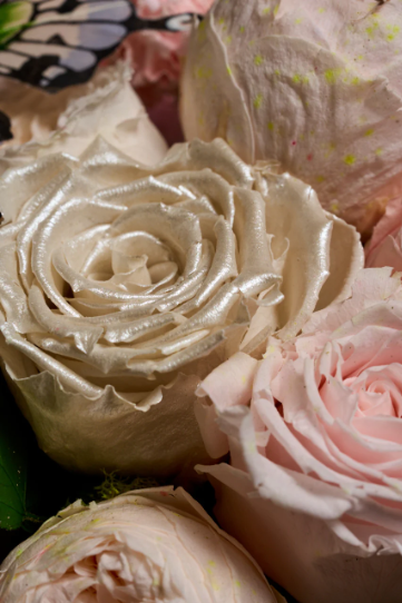 Peonies