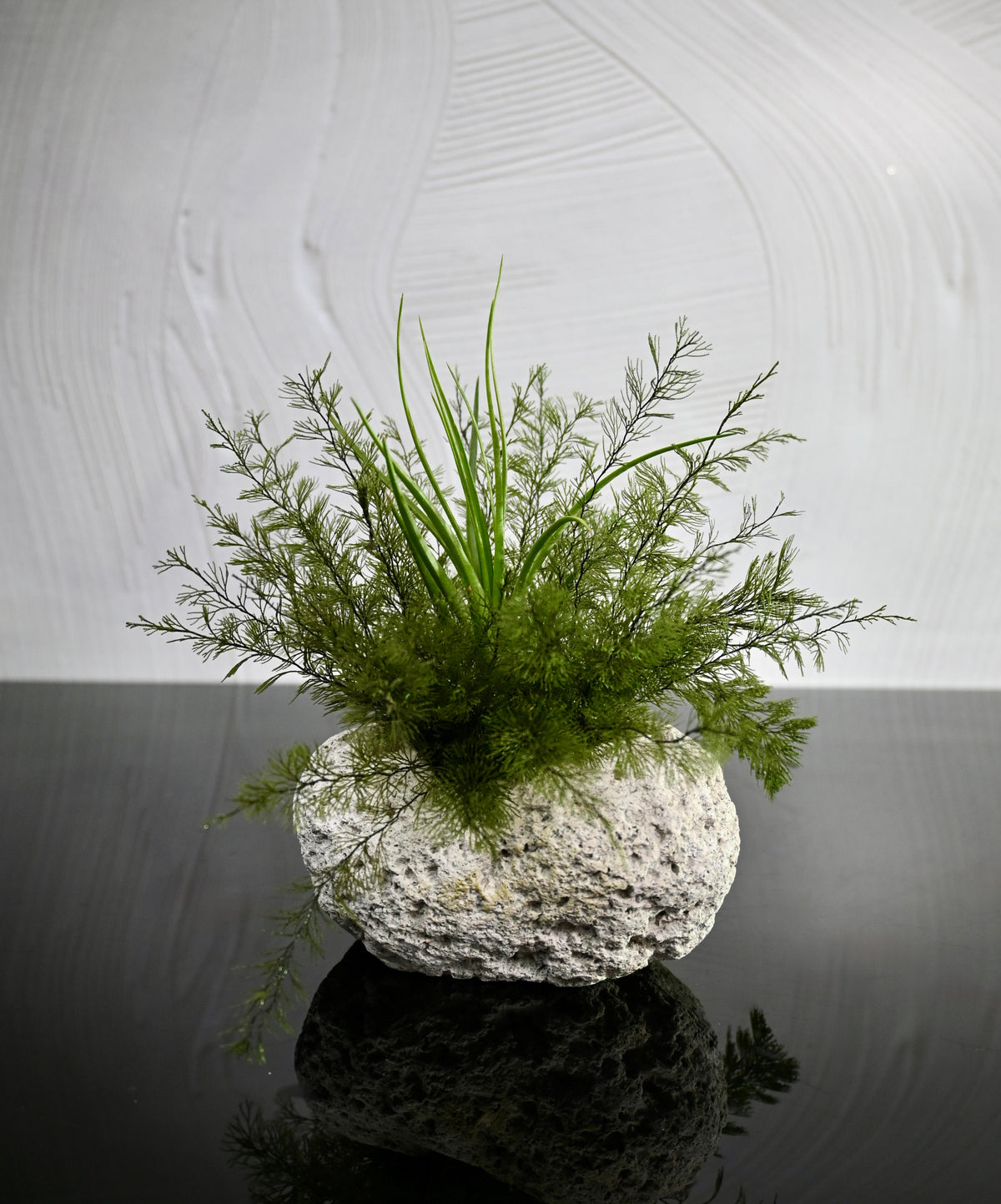 Lava Rock - Dark Green Air Fern & Air Plant