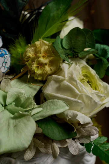 Gardenias