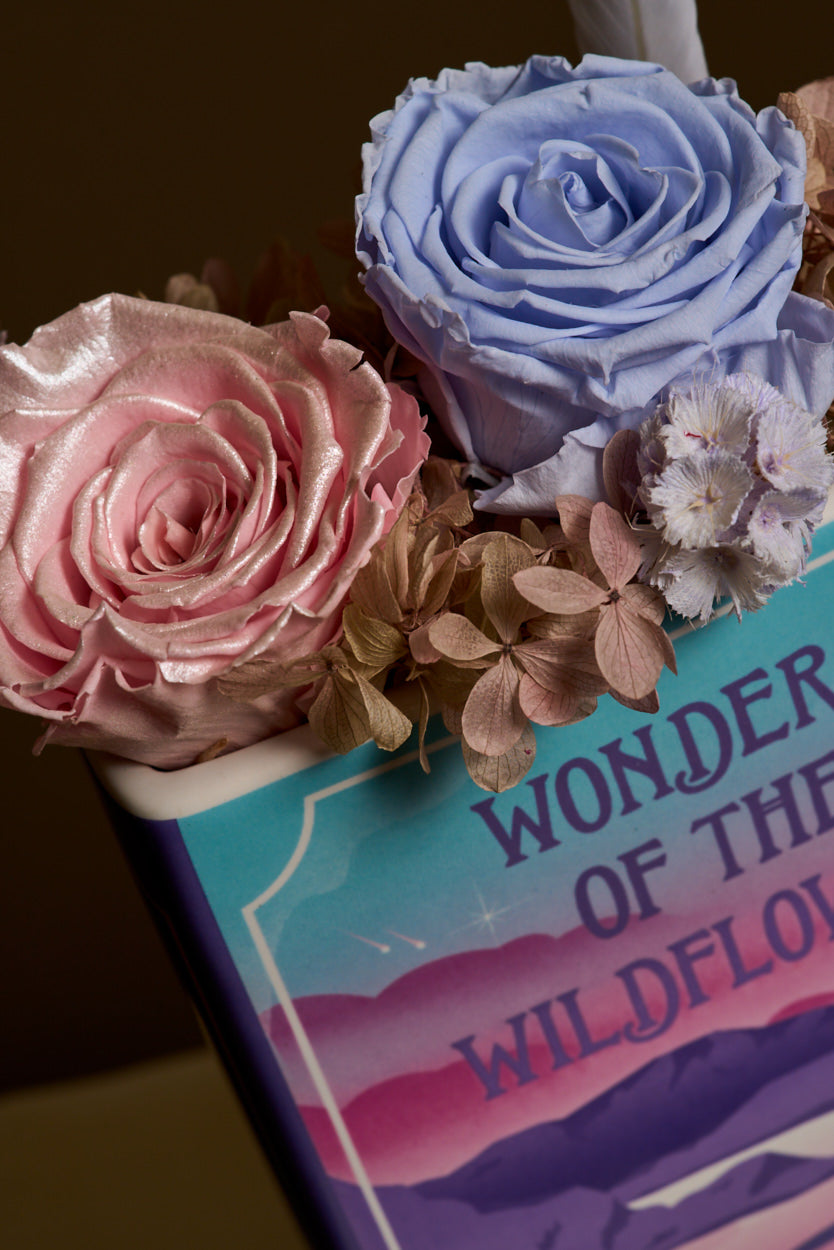 Wonders & Wildflowers