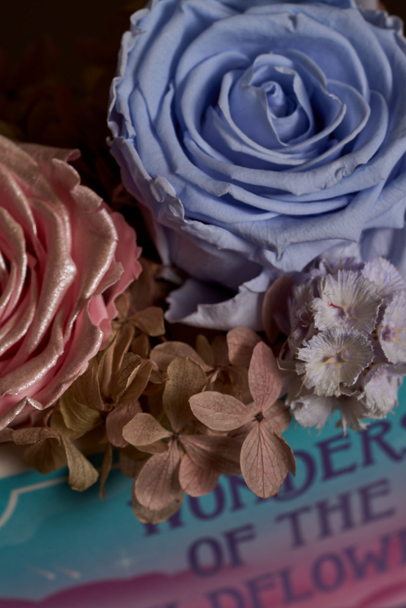 Wonders & Wildflowers