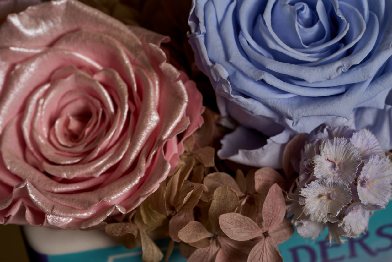 Wonders & Wildflowers